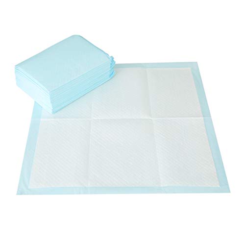 image for Arm & Hammer for Dogs Puppy Training Pads with Attractant | New & Impr