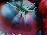1 PC Potseed Las Semillas Negras Grandes de Rusia Tomate. Conocido por terroso Sabor de Tomate
