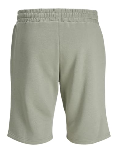 Vêtements Jack & Jones JPSTARCHIE SWEATSHORTS FRANCE MID pour Accessoires - vue 3