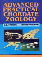 CHORDATE ZOOLOGY BOOK visual data 6
