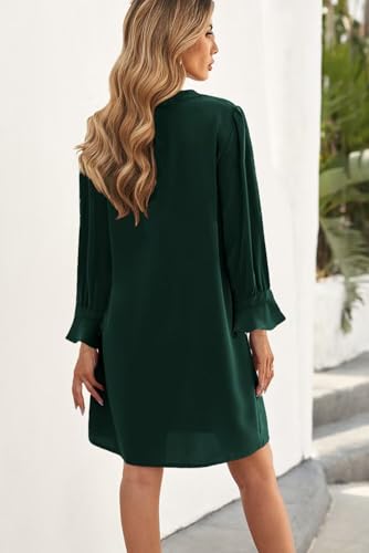 Image of Wkior Womens Fall Ruffle Long Sleeve V Neck Shift Dresses (S-XXL)