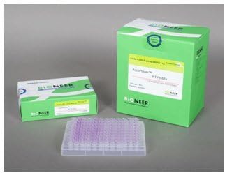 AccuPower Rocketplex RT-PCR PreMix