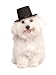Rubie's Top Hat for Your Pet, Small/Medium