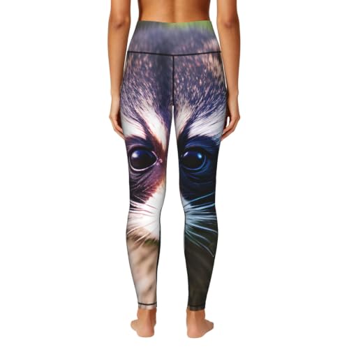 Leggings con estampado de mapache y conjuntos de entrenamiento EKPASVC de alta flexibilidad 4