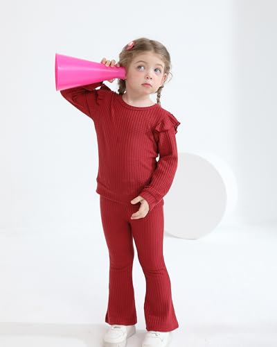 Image of Weebaby Toddler Girl Clothes Infant Girl Sweatsuit Baby Pant Set Outfits Fall Winter Clothing Little Clothes for Girl