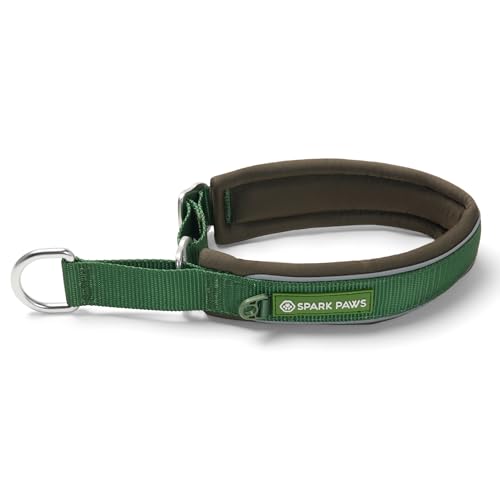 Spark Paws Martingale Dog Collar – Cushioned Slip-On Training Collar