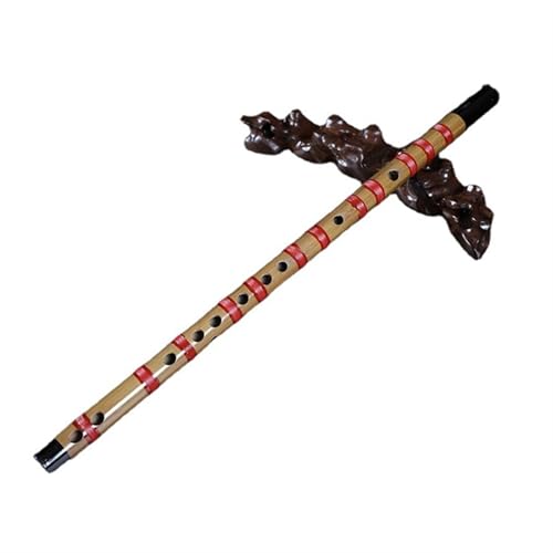 �|�J ���|���t���[�g National Instrument �t���[�g���C�Ҏ��� �|�t���[�g(D Key)