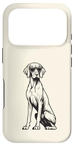 �ʔ����n���K���[�l�r�Y�����T���O���X�t�� �X�}�z�P�[�X iPhone 17 Pro �p