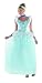Disguise Disney Cinderella Adult Deluxe Costume