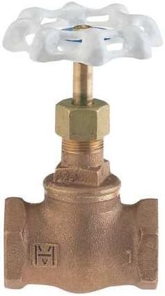 Globe Valve, 1/4 In., Low Lead Bronze