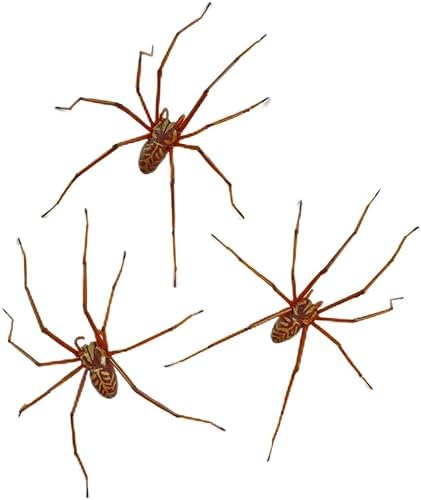 Halloween Realistic Spider Earrings, Halloween Scary Spider Earring for Women Stud Earrings halloween Cosplay Party Supplies Gifts for Women Men