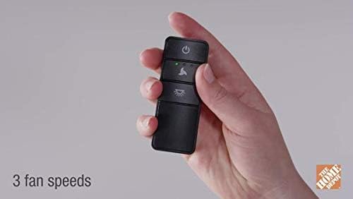 Hand holding Hampton Bay remote, showing fan in background