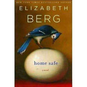 Home Safe 1607518120 Book Cover