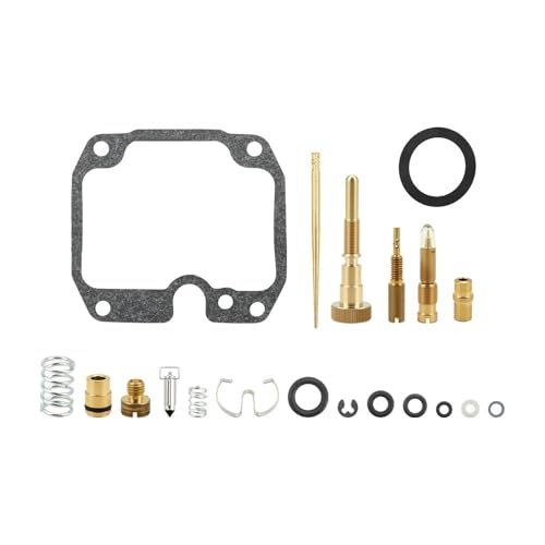 Kit reparación carburador motocicleta Yamaha YFM250 componentes motor 1989-1991