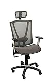 Ergomax Adjustable All Mesh Breathable, Back Relief & Lumbar Support Home & Office Desk Ergonomic Chair, 53 Inch Max Height, Brown