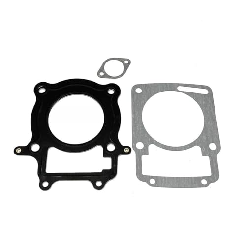 Protecteur stator et joint moteur 172FMM pour réparer les fuites du bloc Zongshen