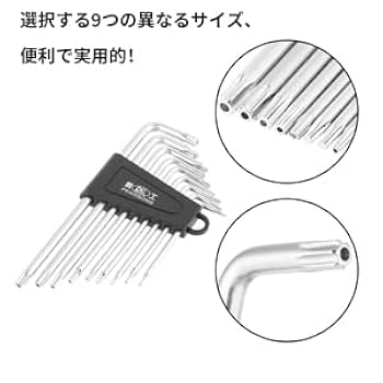 トラネックスレチピール　1本セット 6X30 ステン 偏芯プラグ トラス(パック品) 大阪魂 下穴径6mm 1