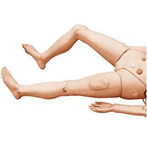 Mannequin de formation médicale pour l'enseignement des soins infirmiers - Modèle en PVC pour les soins aux patients et l'apprentissage didactique en école d'infirmières