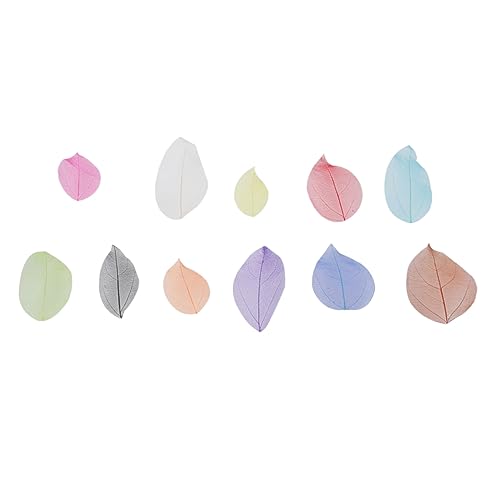 LIFKOME 200 Unidades arte de esqueleto de folha artesanato decorativo DIY decoração plantas artifici