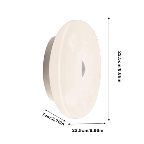 Aplique de pared regulable con control táctil y mando para luz de salón 5