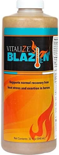 VITALIZE Blazin - Horse Heat Stress & Exertion Recovery - Promotes Hydration & Water Retention (32 fl oz)