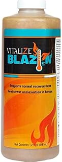VITALIZE Blazin - Horse Heat Stress & Exertion Recovery - Promotes Hydration & Water Retention (32 fl oz)