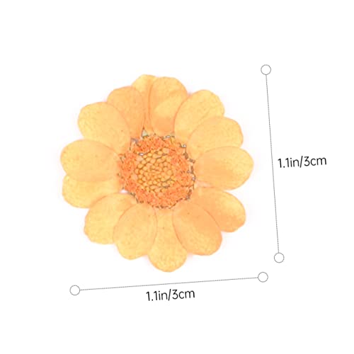 Kit de 40 flores prensadas secas Angoily para manualidades miniatura 2