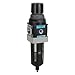 Filter-Regulator,Particles/Water Removal