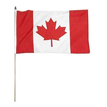 Online Stores Canada Flag 12 x 18 inch