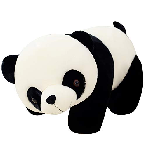 Amazon.co.jp: BEARS