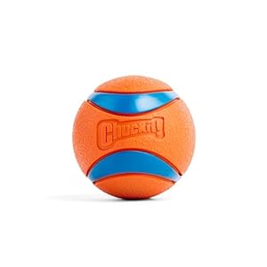 Chuckit ultra ball dog toy with chuckit cleaning bucket bundle bouncy fetch pet toys for dogs 20 60 lbs interactive dog toys durable rubber size medium 25 inch diameter 8 pack of balls  urban country home decor