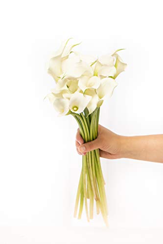 Greenchoice Flowers - Fresh Mini Calla Lilies, Flower Bouquet, Fresh Flowers for Delivery, Birthday Flowers, Flowers for Mother's Day, Flower Bouquet, Real Flowers (White, 20 Stems)