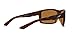 ARNETTE AN4216-232183 SUNGLASSES FUZZY DARK HAVANA | DARK BROWN POLAR 61MM
