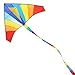 ECHOCUBE Grand Cerf-Volant pour Enfants et Adultes, Cerf-Volant Delta Coloré avec Une Longue Queue de 290 cm, Faciles à Faire Voler Parfaits pour Les Débutants Activités de Jeux de Plein Air 150x80cm