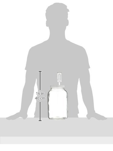 Fastrack - One Gal Wide Mouth Jar With Lid And Airlock, Large Glass Jar With Fermentation Lid, 1 Gallon Glass Jar With Lid And Econolock Airlock, One Gallon Jar With Fermentation Airlock, Clear #TOP4