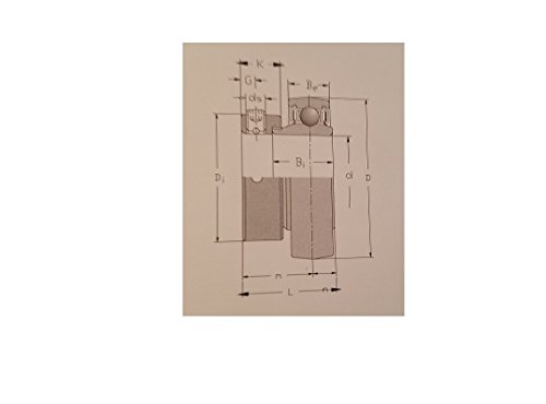 NTN INSERT BRG(STANDARD) (AL205-014D1)