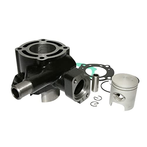 Cylindre Fonte Peugeot 50 Speedfight 3 4 pour remplacer le moteur use