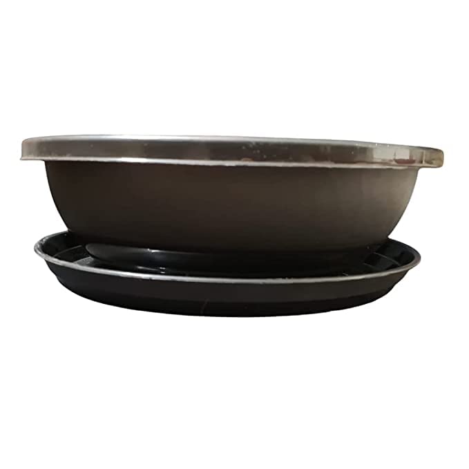 saiagro 12inch Bonsai Planter Oval-Shaped Bonsai Flower Pot with Tray Virgin Planter Pots with Drain Holes - Oval Shaped Grow Pots for Plants - Black (Pack of 4) (B0BH9JGHR9) Amazon Price History, Amazon Price Tracker