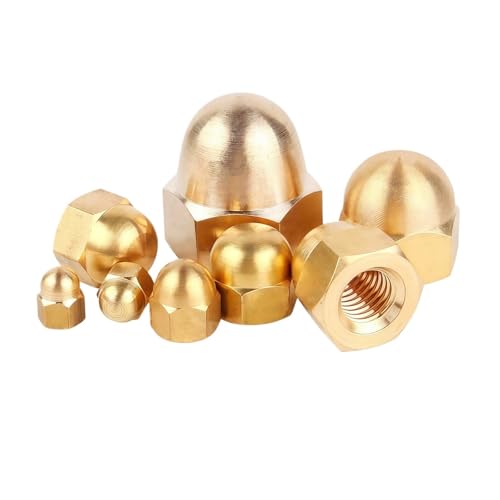 �G�C�R�[���h�[���i�b�g M3 M4 M5 M6 M8 M10 M12 M14 M16 M18 �^�J/304�X�e�����X�|/304�u���b�N�Z�p�ɂݖh�~�K�i�b�g QAICHFKS(Brass,M5 (20pcs))