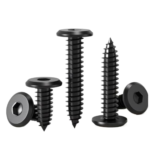 Vis autotaraudeuses hexagonales inversées M2.6 en inox 304 noir, finition de précision