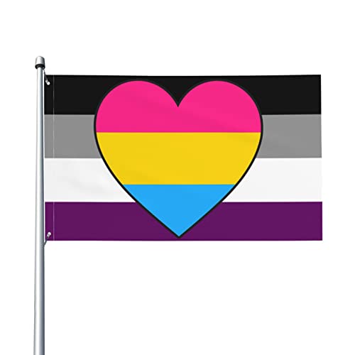 Asexual Ace Panromantic Pan Heart Pride Flag Welcome Party Outdoor Outdoor Decorations Picks Home House Garden Yard Decor 3 X 5 Ft Large Flag