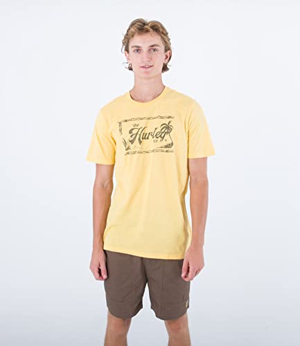 Hurley Evd Vintage SS t-shirt homme anti-transpiration coupe droite