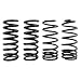 Steeda Autosports Ford Mustang 79-2004 Sport Suspension Spring Kit P/N 555-8200
