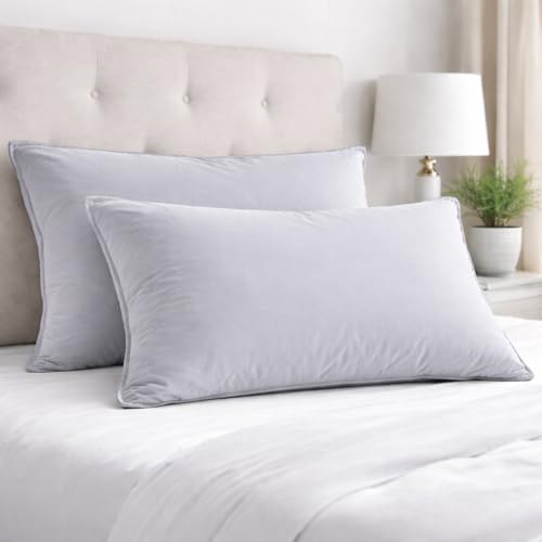 Image of Microfiber Pillow Set of 2 for Sleeping - 20x30 Inches, Light Grey