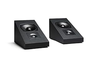 Definitive Technology Dymension DM95 Speaker, Flexible Wall-Mountable Surround Speaker, 5.25&quot; BDSS Mid/Bass Woofer, Aluminum Oxide Tweeter, Compatible with Dymension DM30 &amp; DM80 Speakers, Black