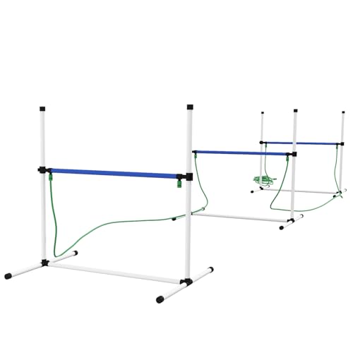 Dog Agility Training Setup