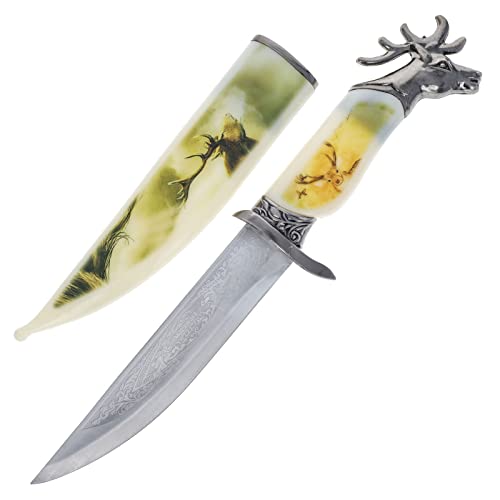 Stainless Steel Outdoor Knife With Fixed Blade, Collectible Deer Knife with Scabbard, 7