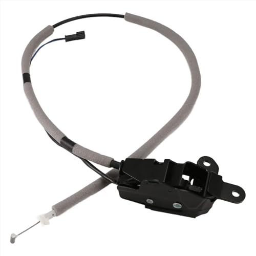 Verrou de hayon pour BMW X5 E70 sécurisez vos bagages voyage serrure 51247183196