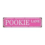  POOKIE LANE Plaque de rue vintage en métal pour bar, café, garage, cave, maison, salle de bain, ferme, jardin, porche, terrasse, 40,6 x 10,2 cm