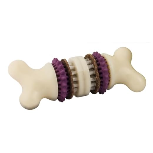 PetSafe Busy Buddy Bristle Bone - Treat-Holding Toy for Dogs - Treat Rings Included - Treats Thoroughly Mixed During Bake to Prevent Choking - Rigorously Tested Ingredients - Purple, Small